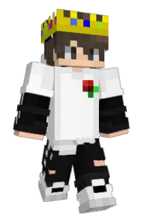N1NJA_XD Minecraft avatar full body