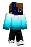 N1ZeeH Minecraft avatar full body