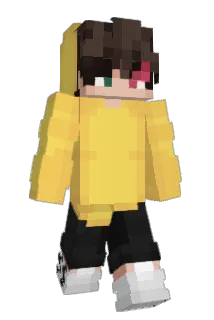 N1kkox Minecraft avatar full body