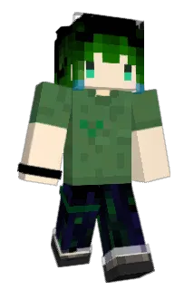 N1koch1N Minecraft avatar full body