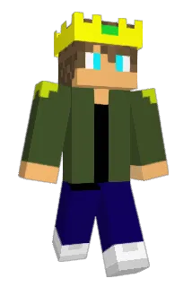 N1nja58 Minecraft avatar full body