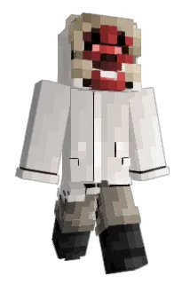 N529 Minecraft avatar full body