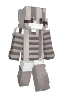 N5800 Minecraft avatar full body