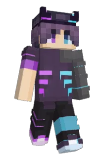 N6OL Minecraft avatar full body