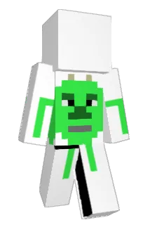 N6PUD Minecraft avatar full body