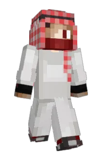 N7R911 Minecraft avatar full body