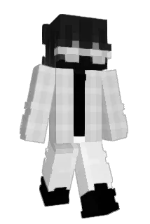 NAD1208 Minecraft avatar full body