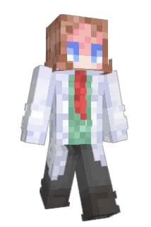 NADP42 Minecraft avatar full body