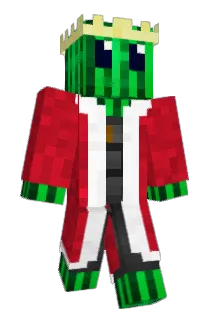 NAGA35000 Minecraft avatar full body