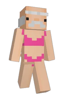 NAGUF Minecraft avatar full body