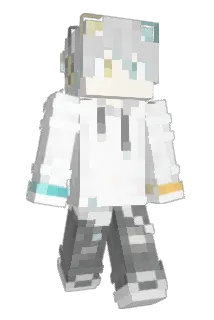 NALXG Minecraft avatar full body