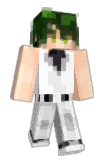 NAMUA3 Minecraft avatar full body