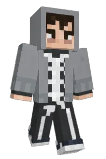 NANIDEVERDADE Minecraft avatar full body