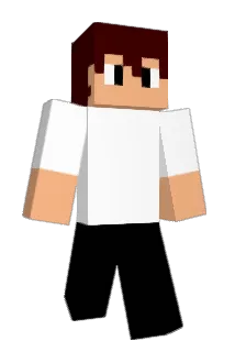 NARCROW Minecraft avatar full body