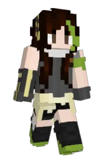 NATOMarksman Minecraft avatar full body