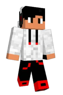NAVI214 Minecraft avatar full body