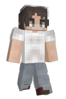 NAVYHAWKS Minecraft avatar full body