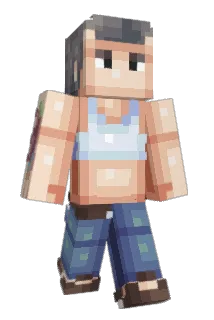 NA_STELLA Minecraft avatar full body