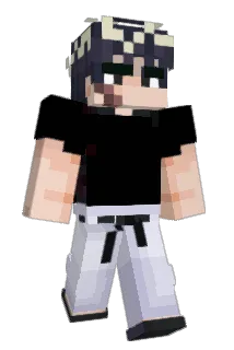 NCKSEA Minecraft avatar full body