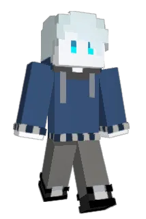 NCLS1231 Minecraft avatar full body