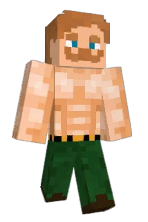 NDIDI_22 Minecraft avatar full body