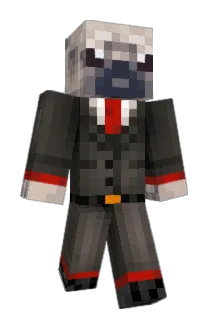 NDS05 Minecraft avatar full body