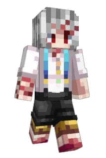 NDS3212 Minecraft avatar full body