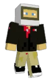 NDevilliers Minecraft avatar full body
