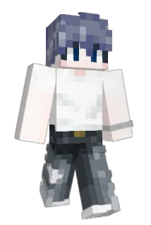 NDolPhin1 Minecraft avatar full body