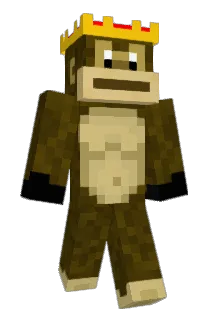 NEJ4N Minecraft avatar full body