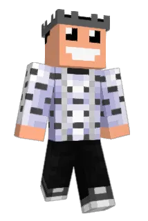 NELFI Minecraft avatar full body