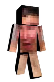 NF24 Minecraft avatar full body