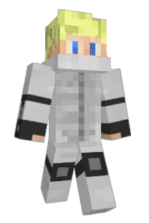 NG596 Minecraft avatar full body