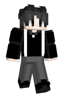 NGWDSJ Minecraft avatar full body