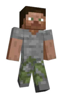 NHH06 Minecraft avatar full body