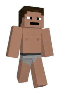 NHLess Minecraft avatar full body