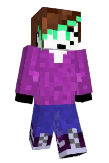 NIBV9 Minecraft avatar full body