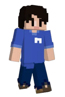 NICENJOY Minecraft avatar full body
