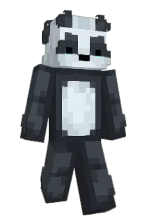 NIDK0429 Minecraft avatar full body