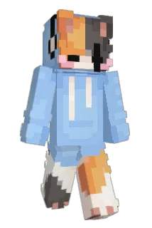 NIGHT_0WLtech Minecraft avatar full body