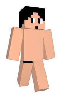 NIMI70 Minecraft avatar full body