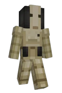 NINBENN Minecraft avatar full body