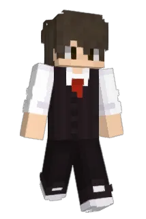 NINEENIN Minecraft avatar full body