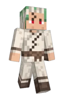 NINETAE Minecraft avatar full body
