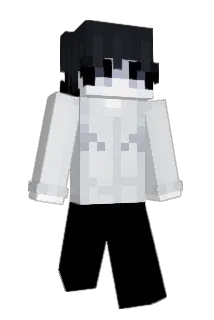 NING45 Minecraft avatar full body