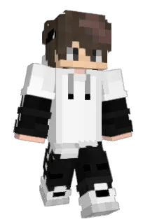 NINImagDICH Minecraft avatar full body