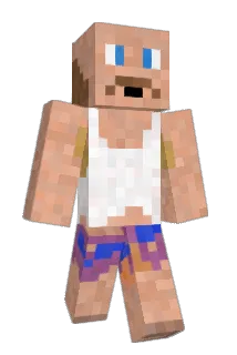 NIT3N Minecraft avatar full body