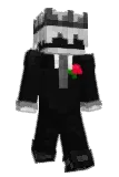 NIVAD2 Minecraft avatar full body