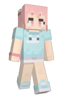 NL70 Minecraft avatar full body