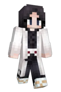 NLC44 Minecraft avatar full body